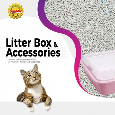 Litter Box & Accessories