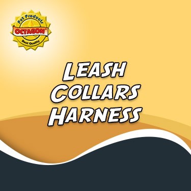 Leash, Collar & Harness