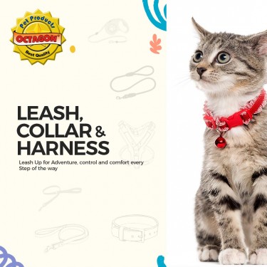 Leash, Collar & Harness