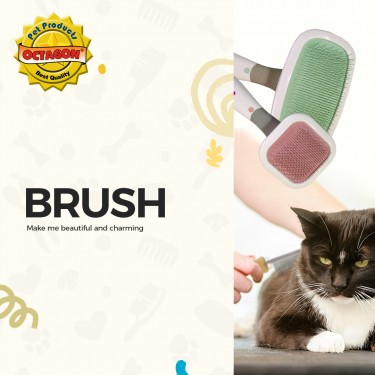 Brush