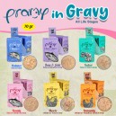 Pramy Pouch In Gravy Cat Snack Cat Treats