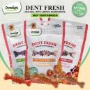 Dentalight Dent Fresh Fruits 360 Toothbrush Dental Treats