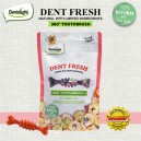 Dentalight Dent Fresh Fruits 360 Toothbrush Dental Treats