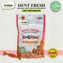 Dentalight Dent Fresh Fruits 360 Toothbrush Dental Treats