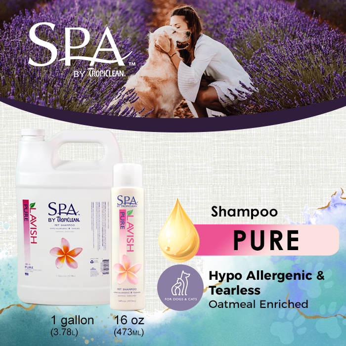 SPA SHAMPOO - PURE