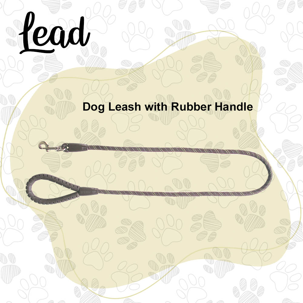 Dog Leash With Rubber Handle