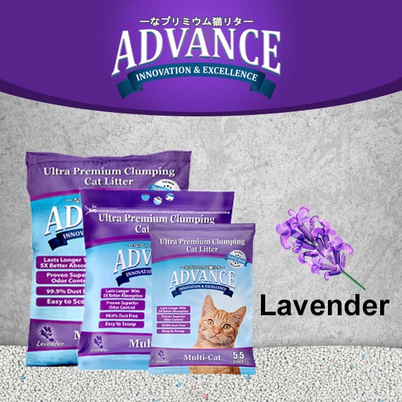 Advance Bentonite Cat Litter lavender