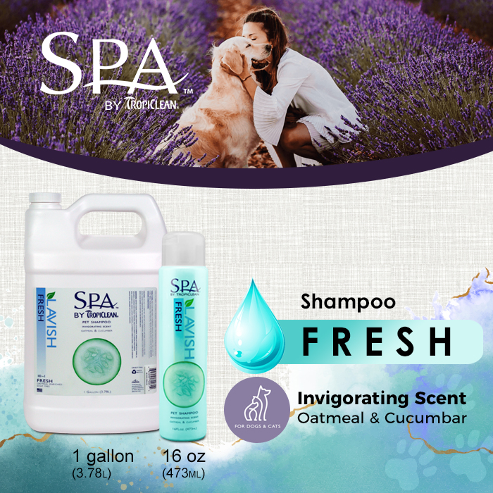 SPA SHAMPOO - FRESH