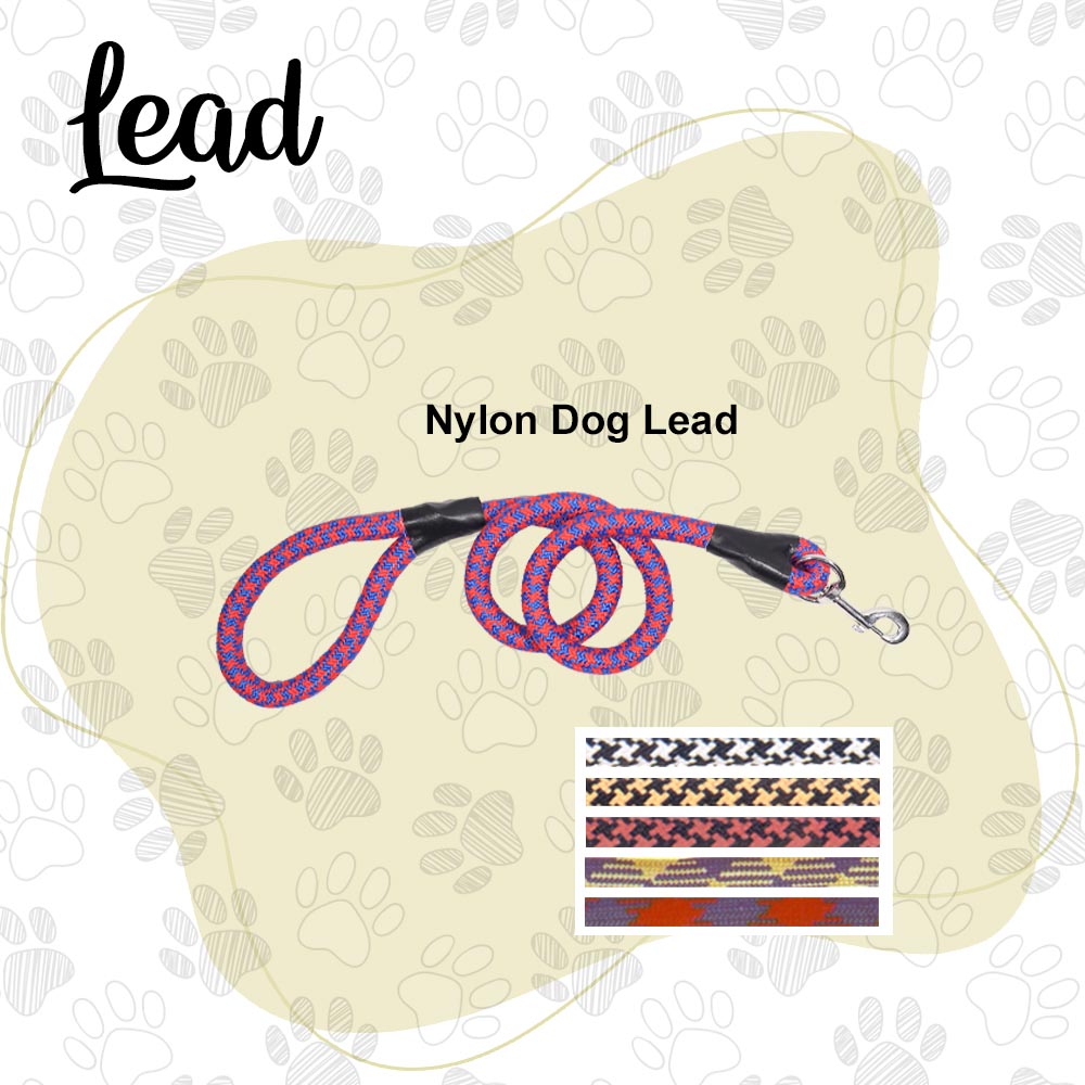 Nylon Dog Lead