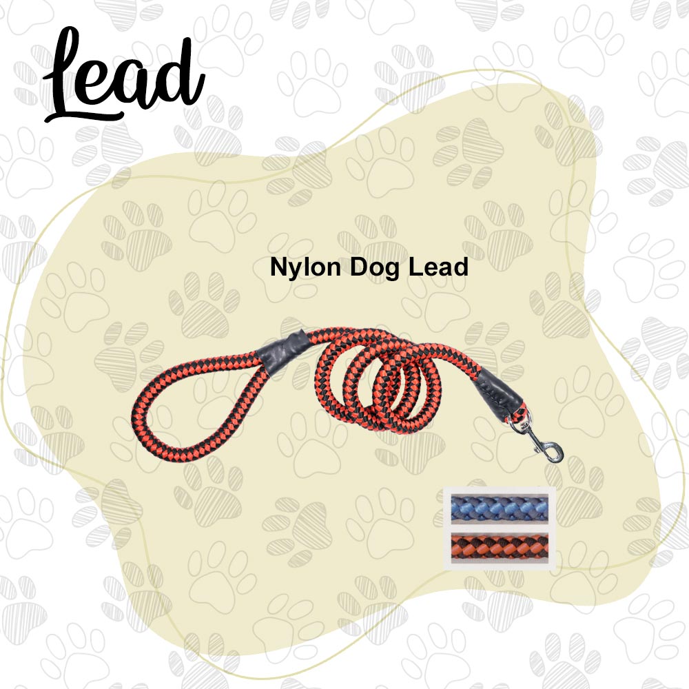 Nylon Dog Lead