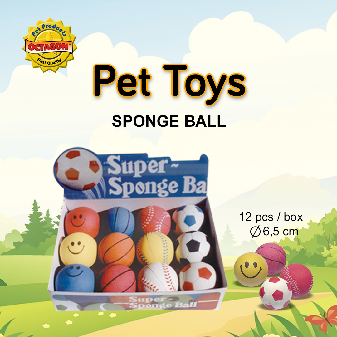 Sponge Ball