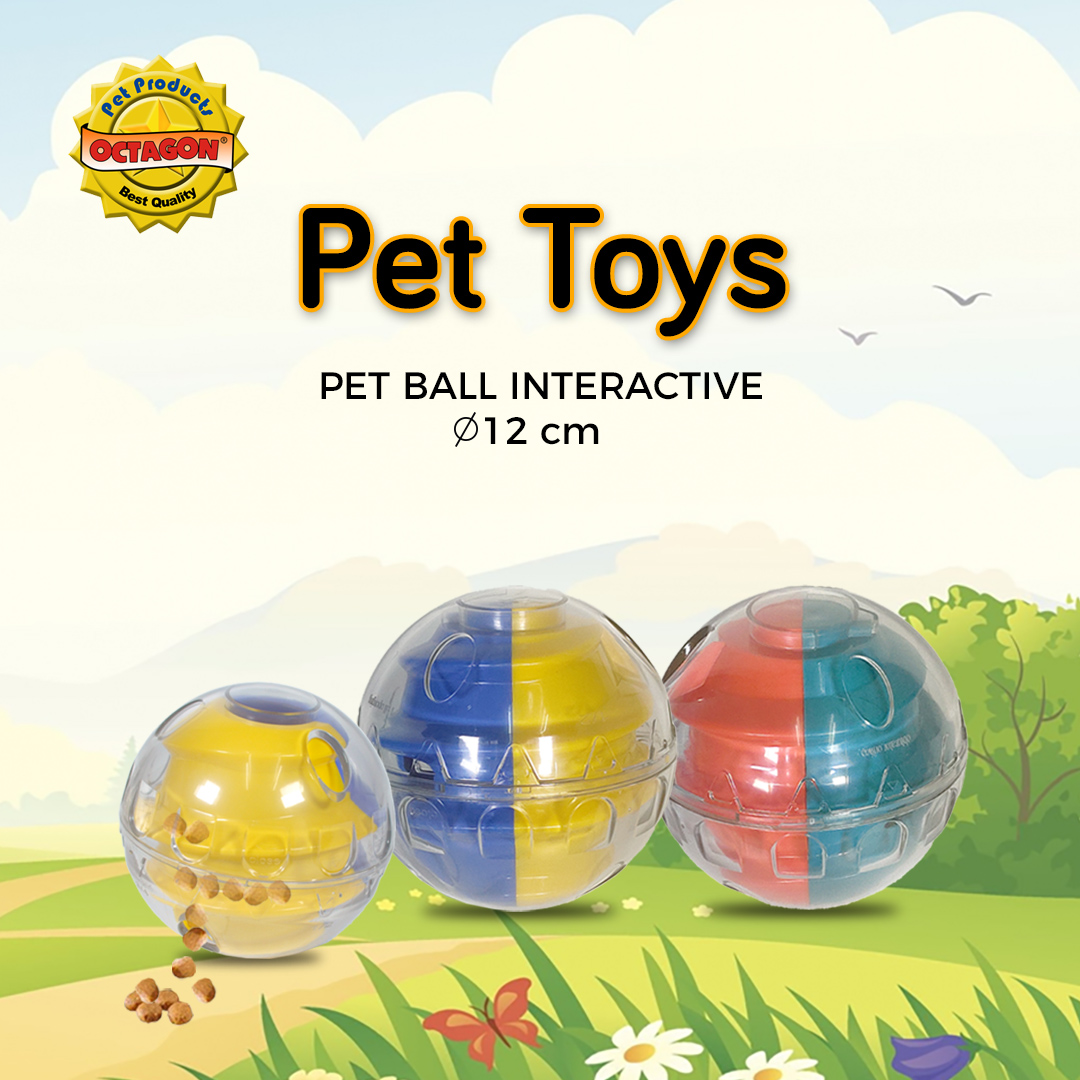 Pet Ball Interactive